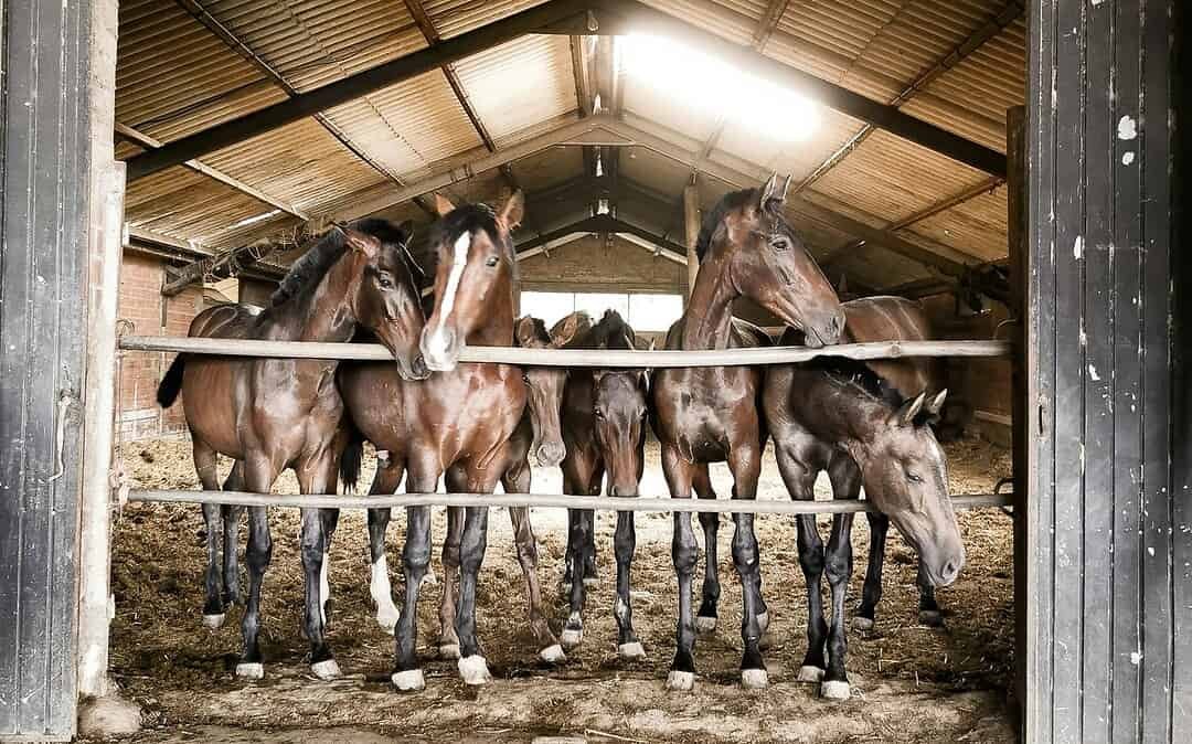 5 Everyday Habits of Stylish Riders That Improve Performance