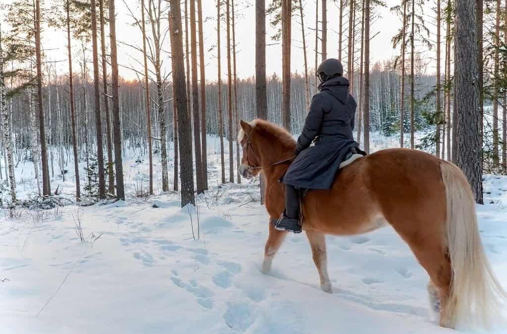 Top 7 Winter Equestrian Gear for Women Per Brand: Best Riding Jackets, Breeches, Boots & Layering Essentials