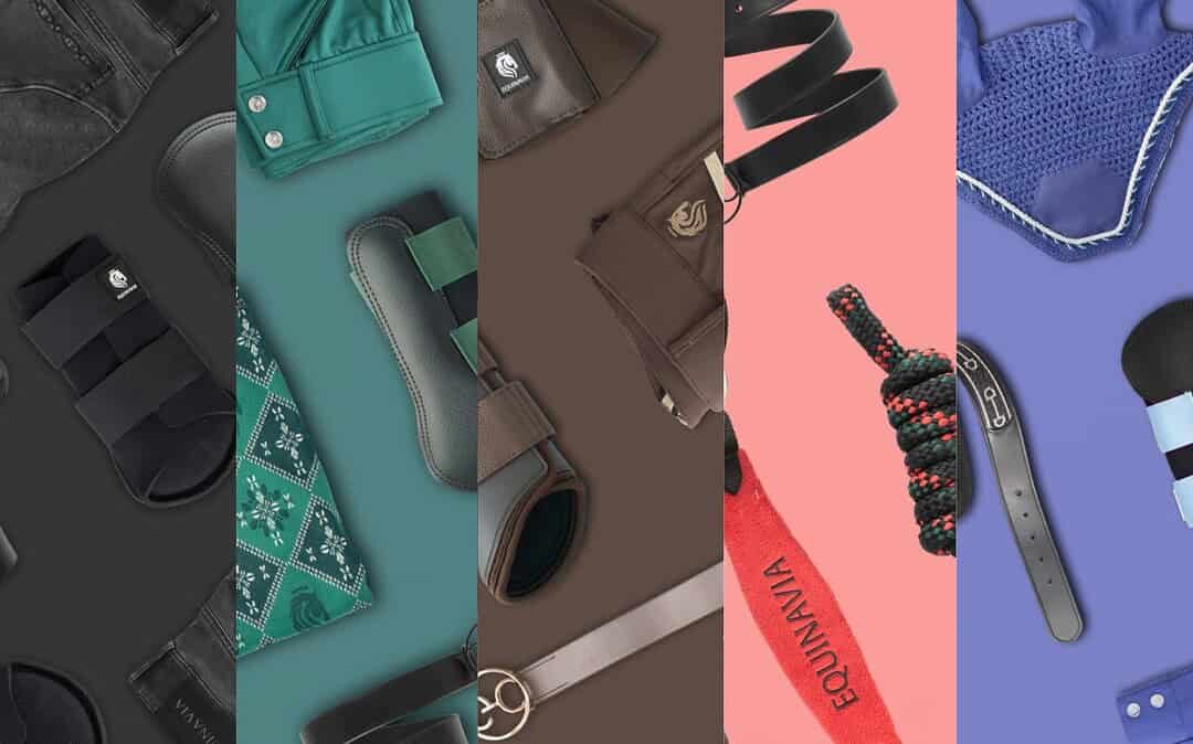 The Art of Matching Equestrian Gear: How Coordinated Tack & Style Create Harmony in the Saddle