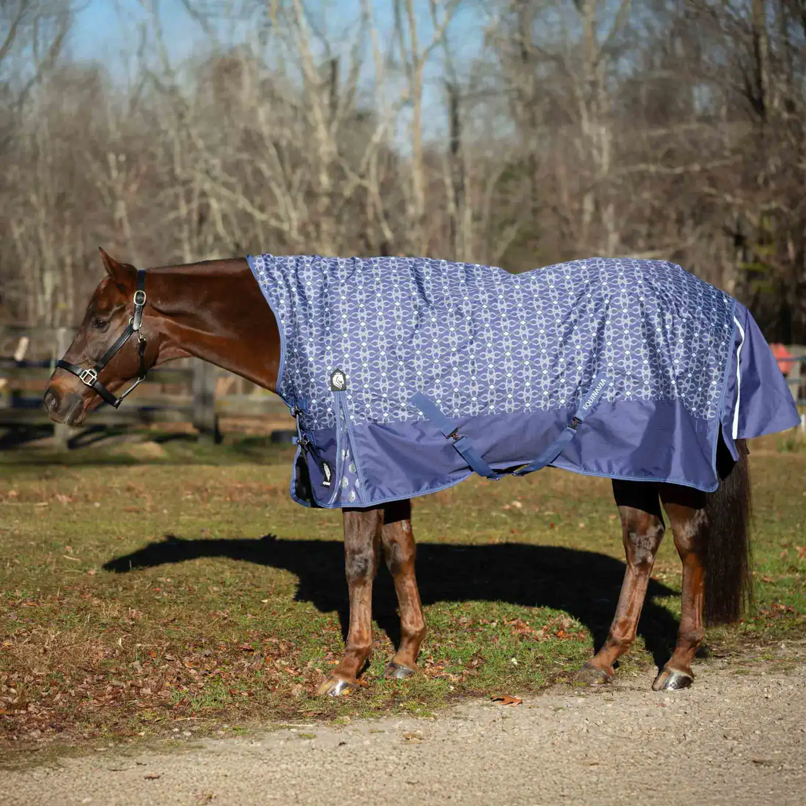 Home / New / New Equinavia / New Equinavia Horse Apparel / Equinavia Arktis Extended Neck Heavy Weight Turnout Blanket 300g