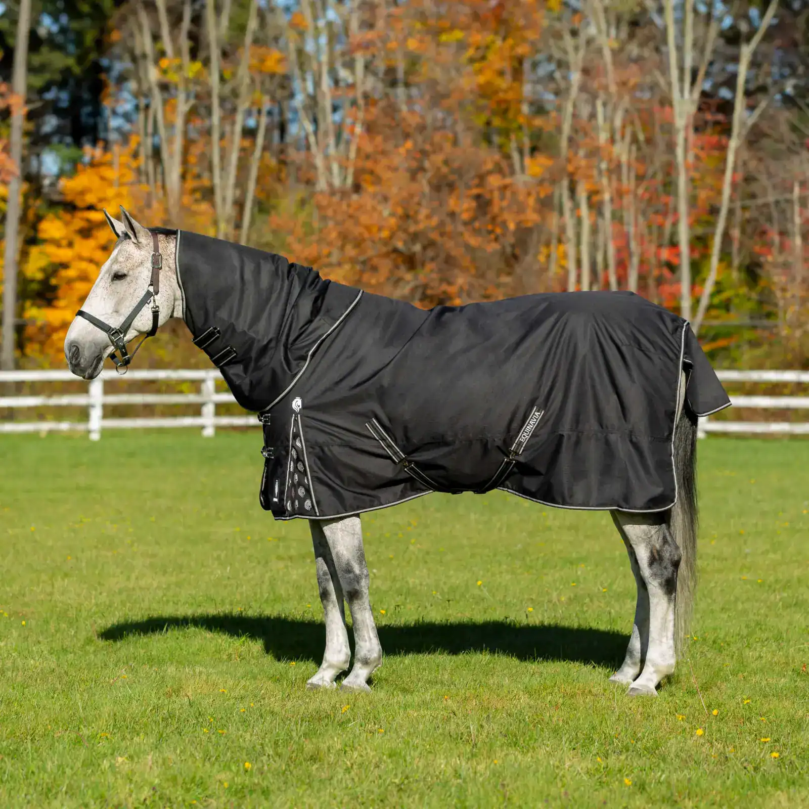 Equinavia Norse Mid Weight Turnout Blanket 200g