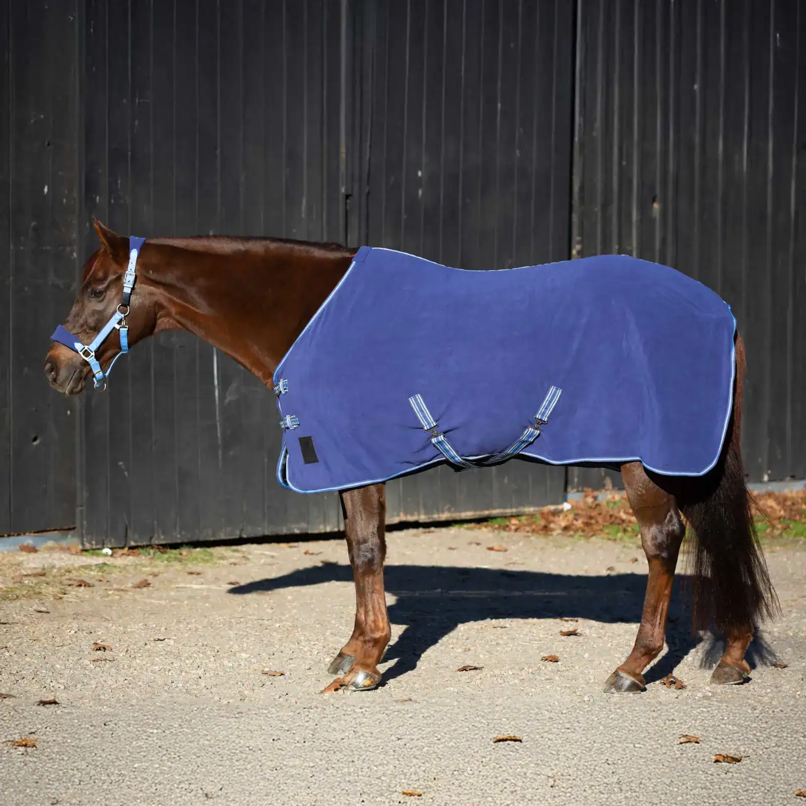 Equinavia Norse Fleece Cooler