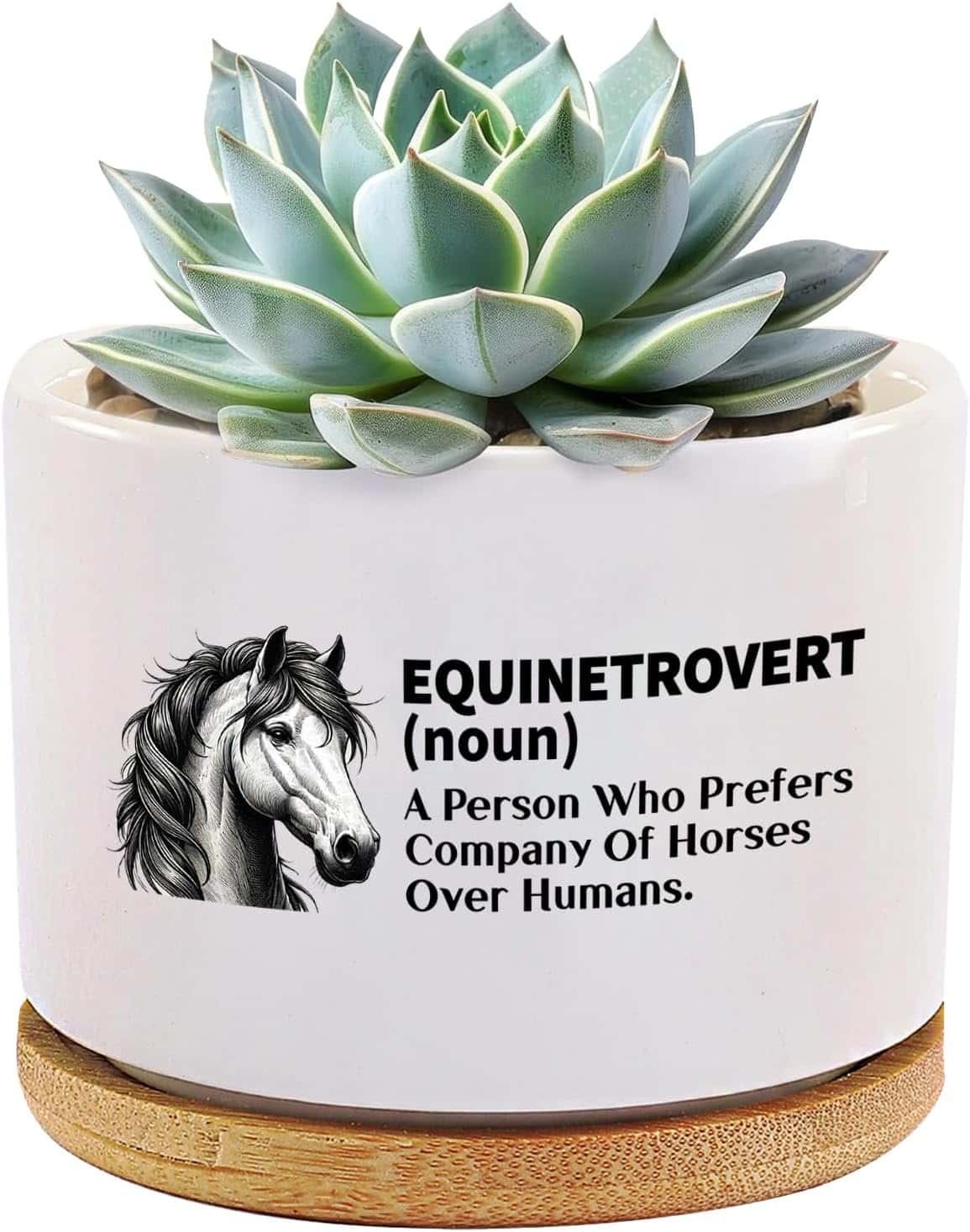 Horse Lover Gift