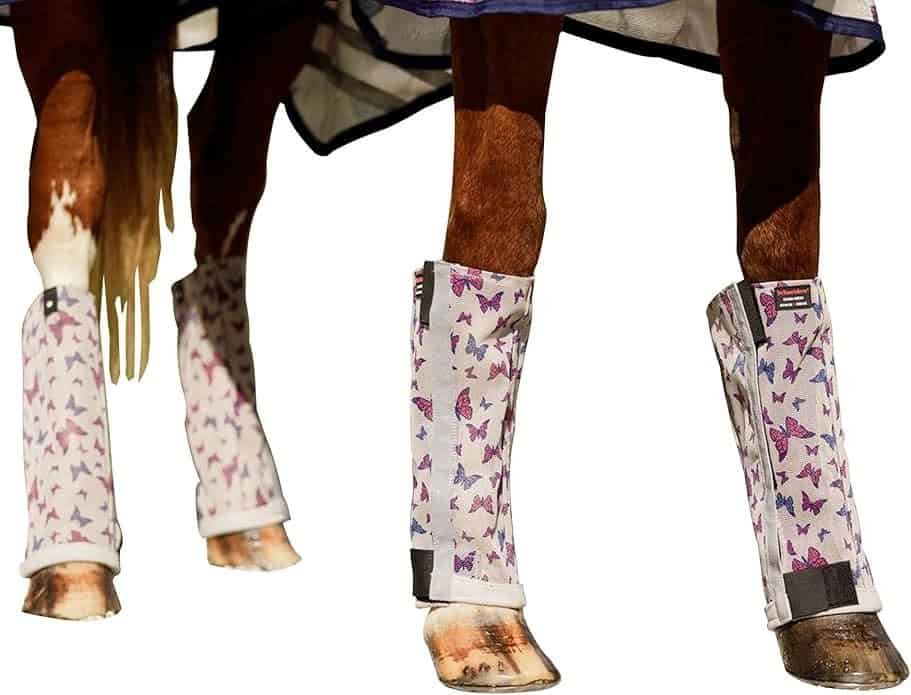 Horse Sheet